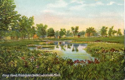 Frog Pond (Michigan Center)
