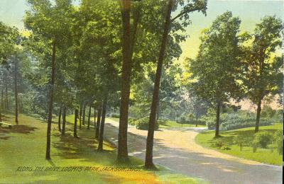 Loomis Park (View Along the Drive)