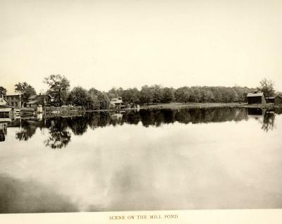 Scene on the Mill Pond