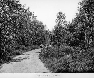 Scene on the Swain Road