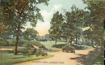 Loomis Park (View from Within the Park)