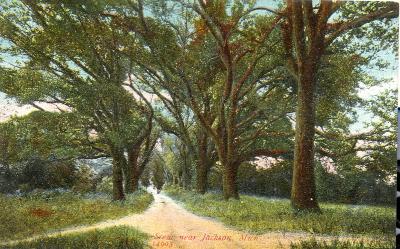 Scenic Scene - Near Jackson