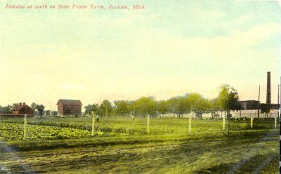 State Prison Farm(Inmates at Work)
