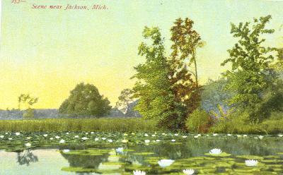 Scenic Scene - Near Jackson