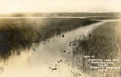 Vineyard Lake (Brooklyn)