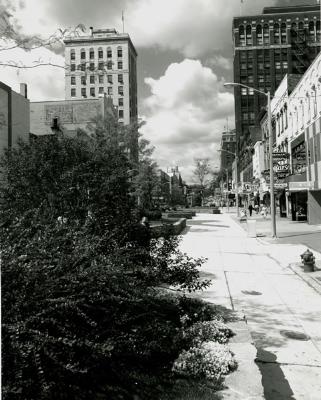 Michigan Avenue pedestrian mall